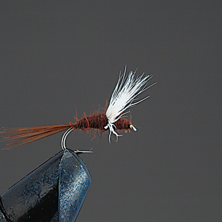 COMPLETE FLY Dry Fly - Valleyhill
