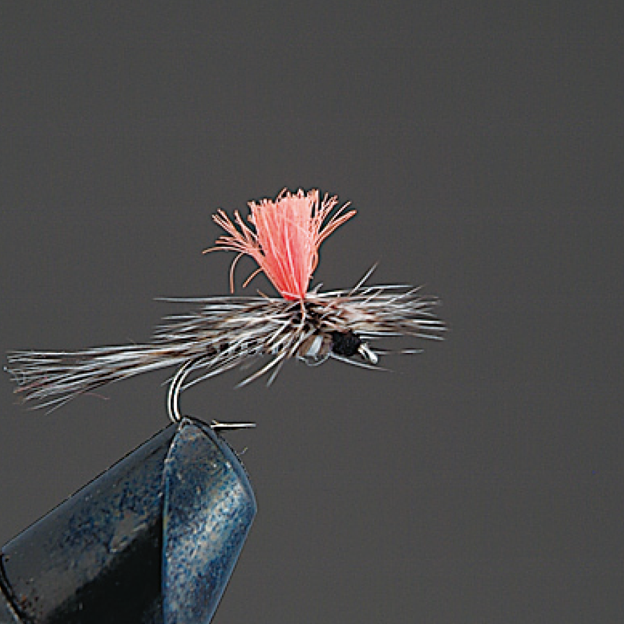 COMPLETE FLY Dry Fly - Valleyhill