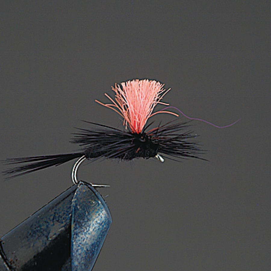COMPLETE FLY Dry Fly - Valleyhill