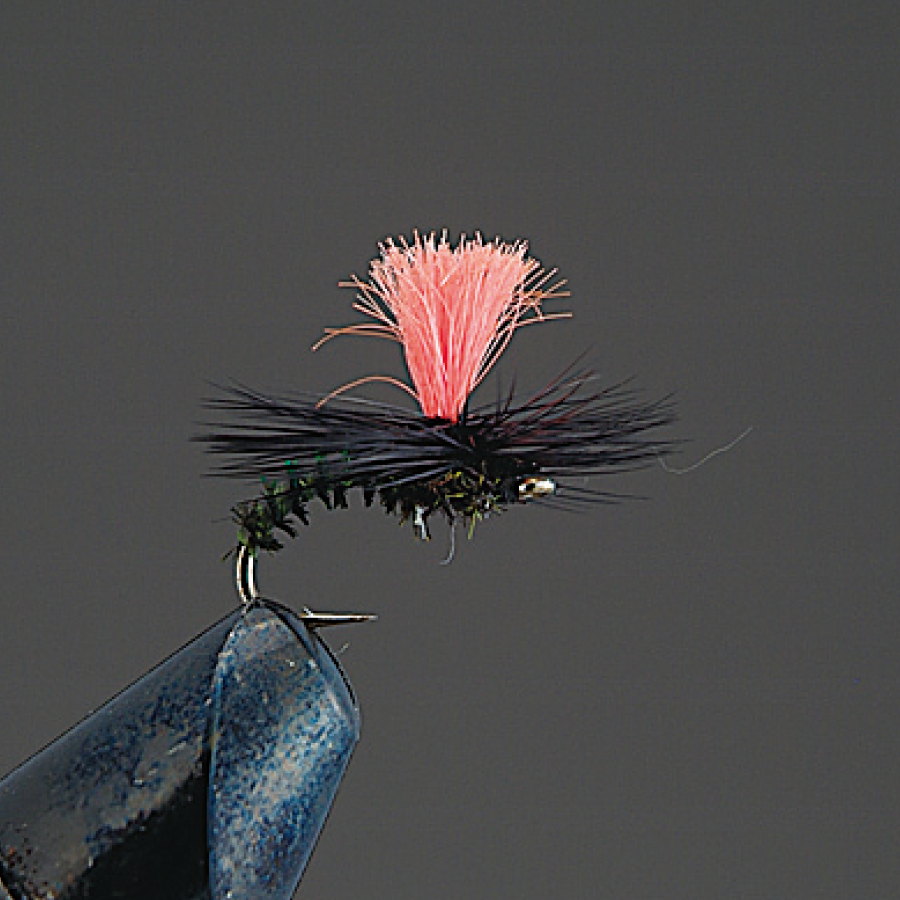 COMPLETE FLY Dry Fly - Valleyhill