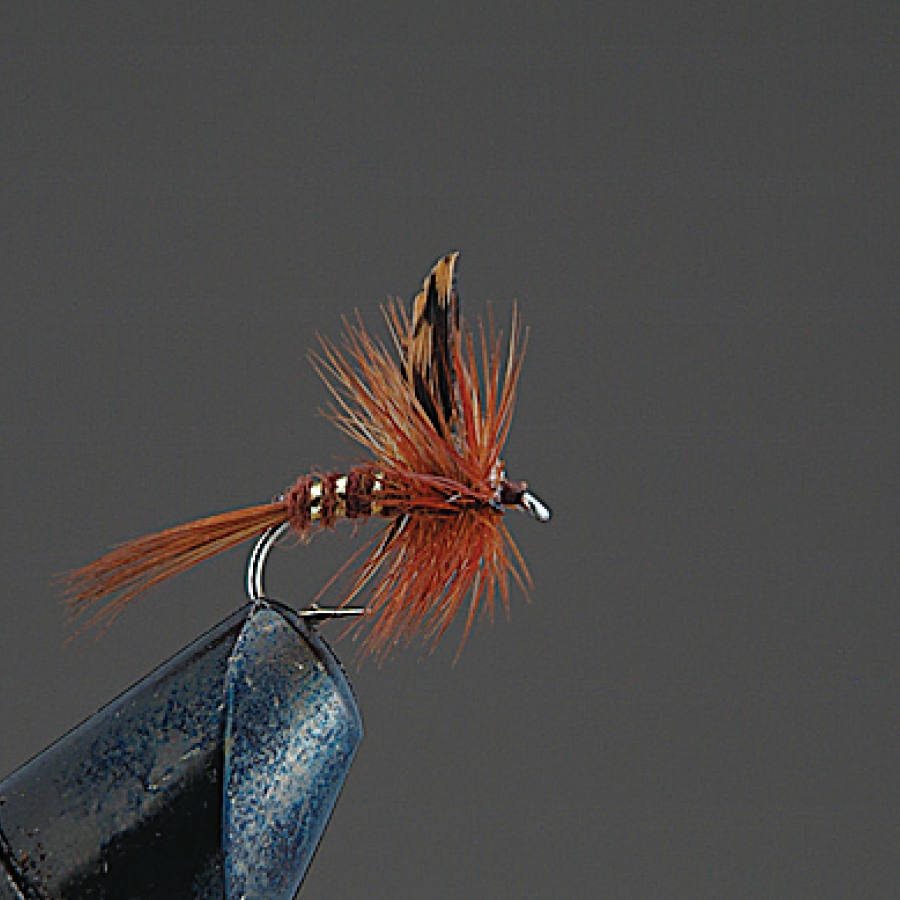 COMPLETE FLY Dry Fly - Valleyhill
