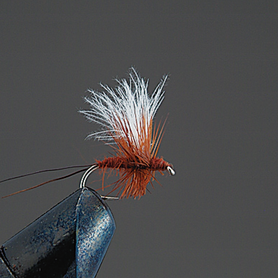 COMPLETE FLY Dry Fly - Valleyhill