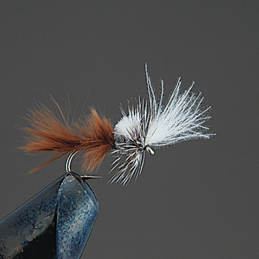 COMPLETE FLY Dry Fly - Valleyhill