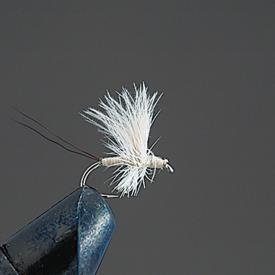 COMPLETE FLY Dry Fly - Valleyhill