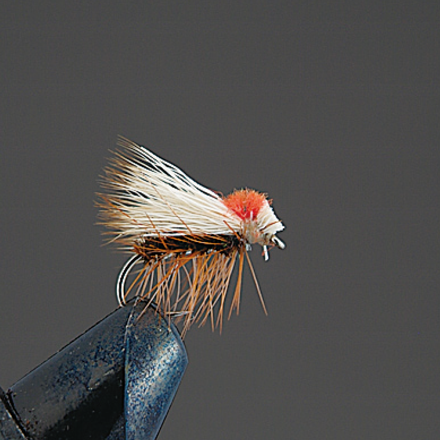 COMPLETE FLY Dry Fly - Valleyhill