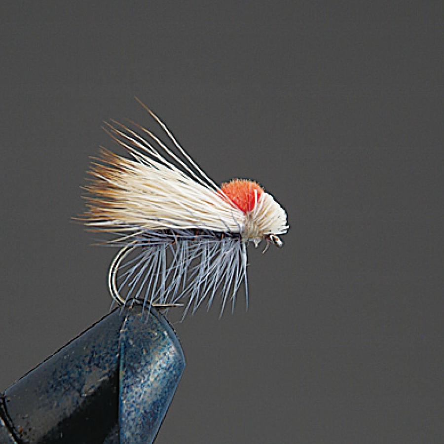 COMPLETE FLY Dry Fly - Valleyhill