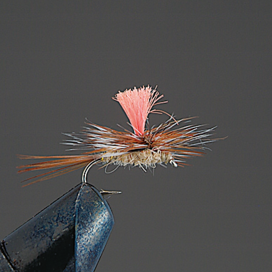 COMPLETE FLY Dry Fly - Valleyhill