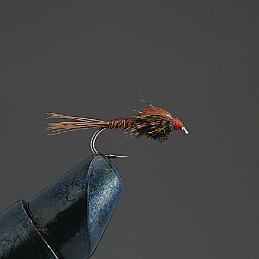 COMPLETE FLY Nymph - Valleyhill