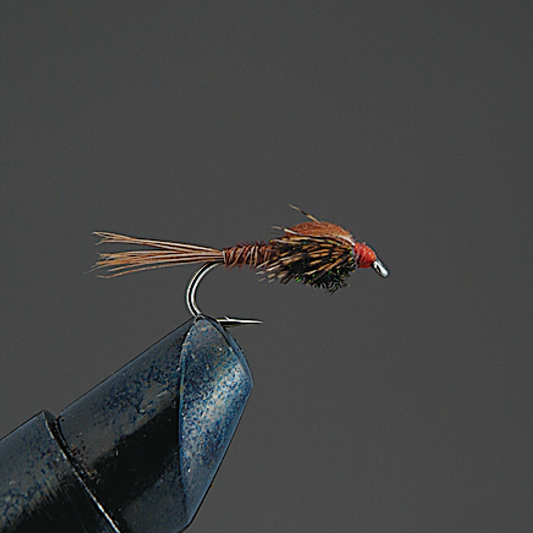 COMPLETE FLY Nymph - Valleyhill