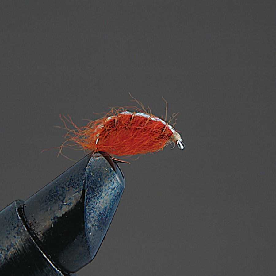 COMPLETE FLY Nymph - Valleyhill