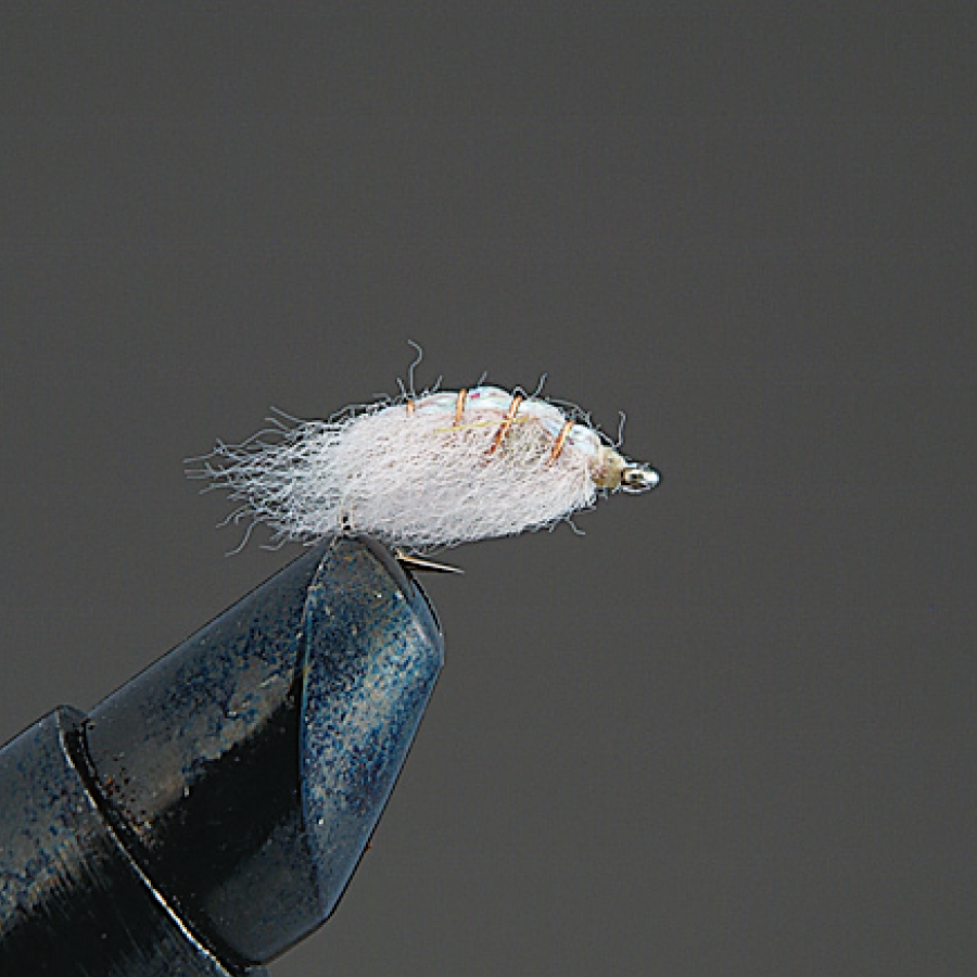 COMPLETE FLY Nymph - Valleyhill