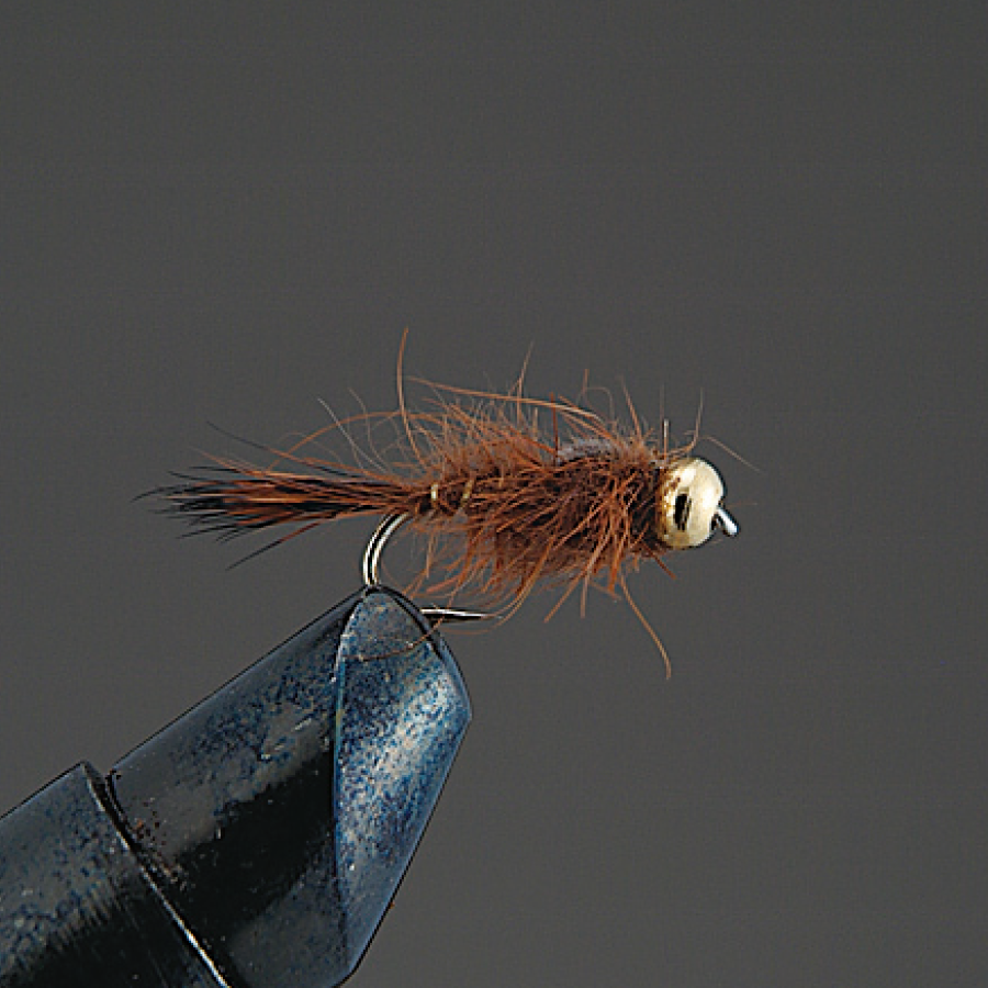 COMPLETE FLY Nymph - Valleyhill