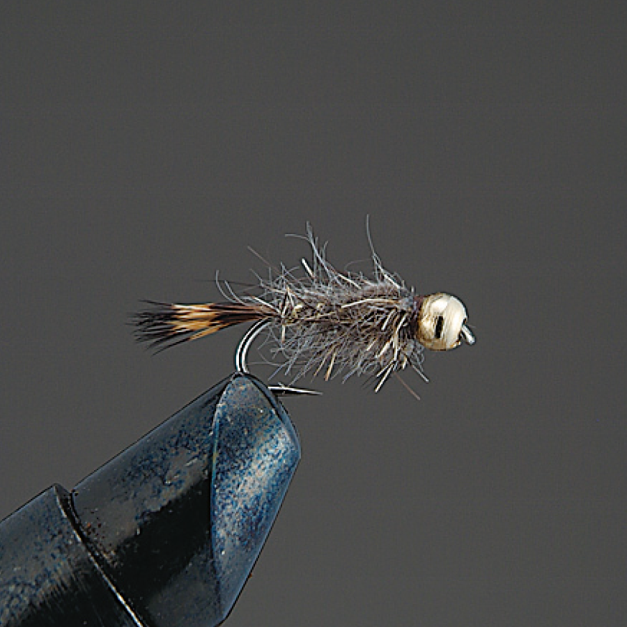 COMPLETE FLY Nymph - Valleyhill