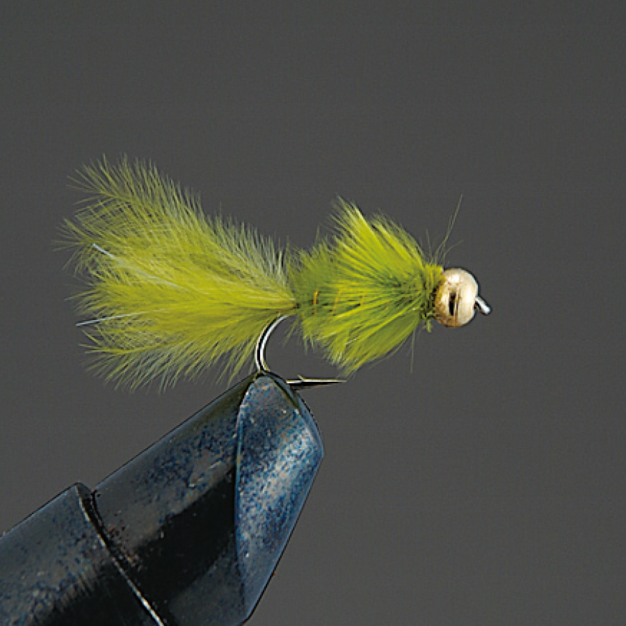 COMPLETE FLY Nymph - Valleyhill