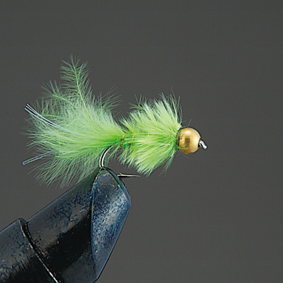 COMPLETE FLY Nymph - Valleyhill