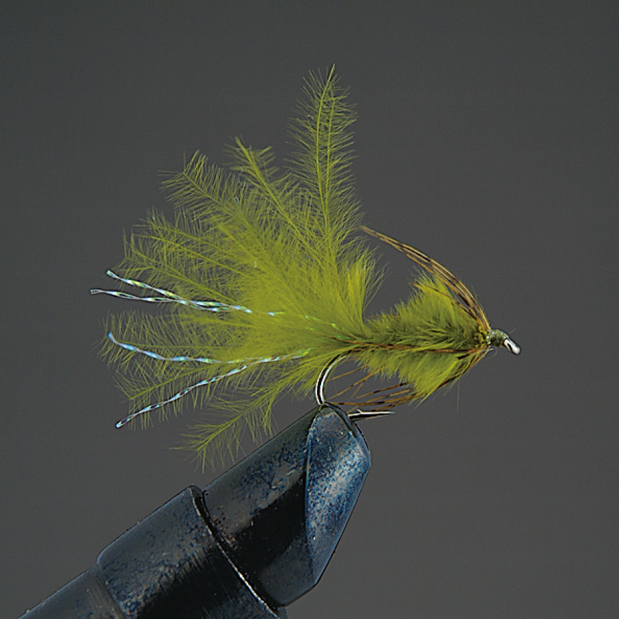 COMPLETE FLY Nymph - Valleyhill