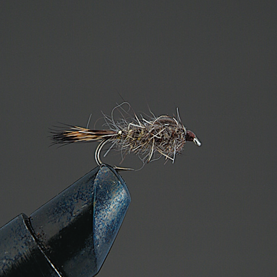 COMPLETE FLY Nymph - Valleyhill