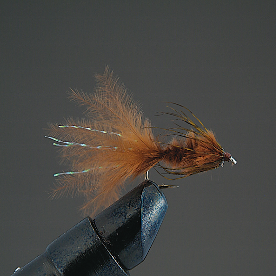 COMPLETE FLY Nymph - Valleyhill