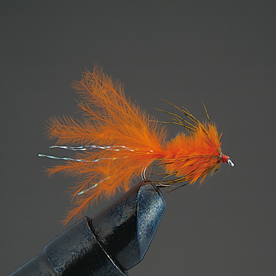 COMPLETE FLY Nymph - Valleyhill