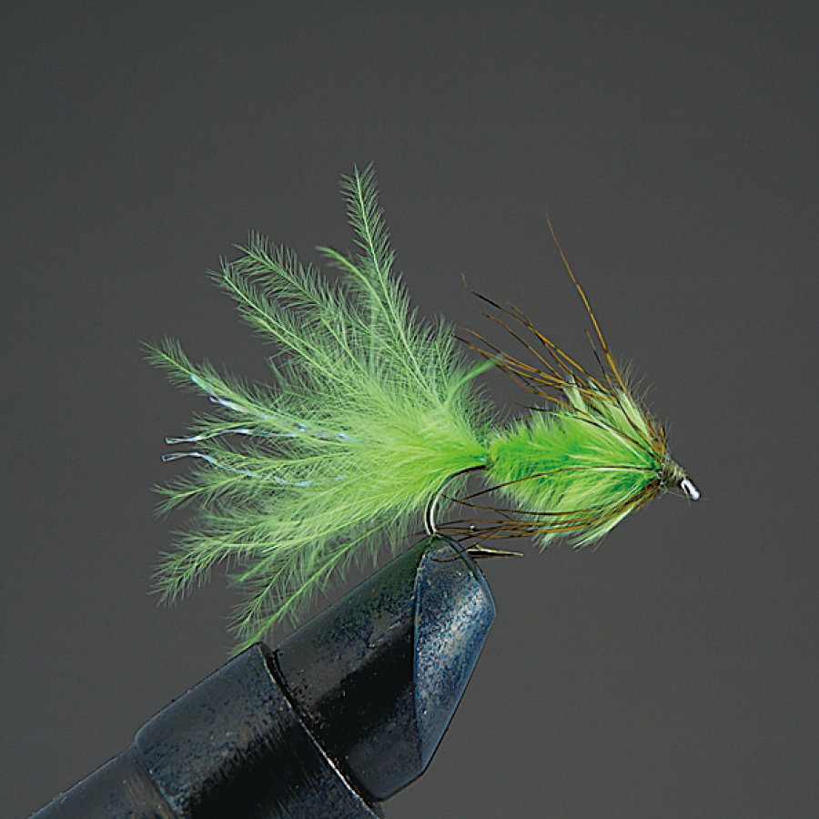 COMPLETE FLY Nymph - Valleyhill