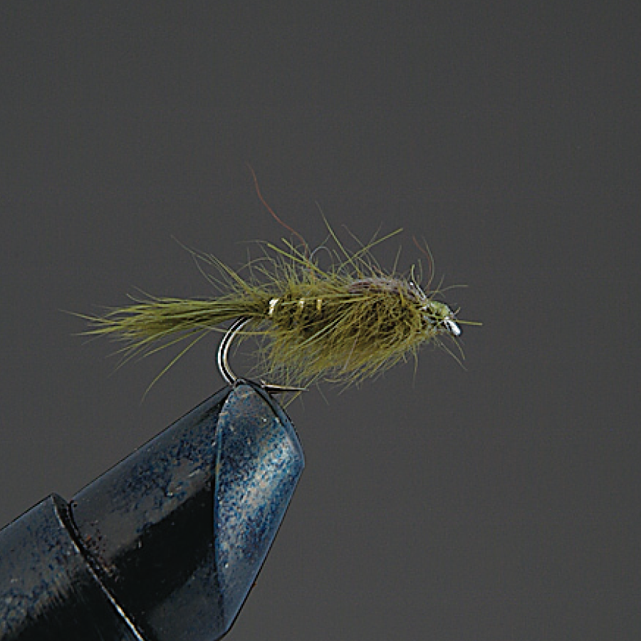 COMPLETE FLY Nymph - Valleyhill