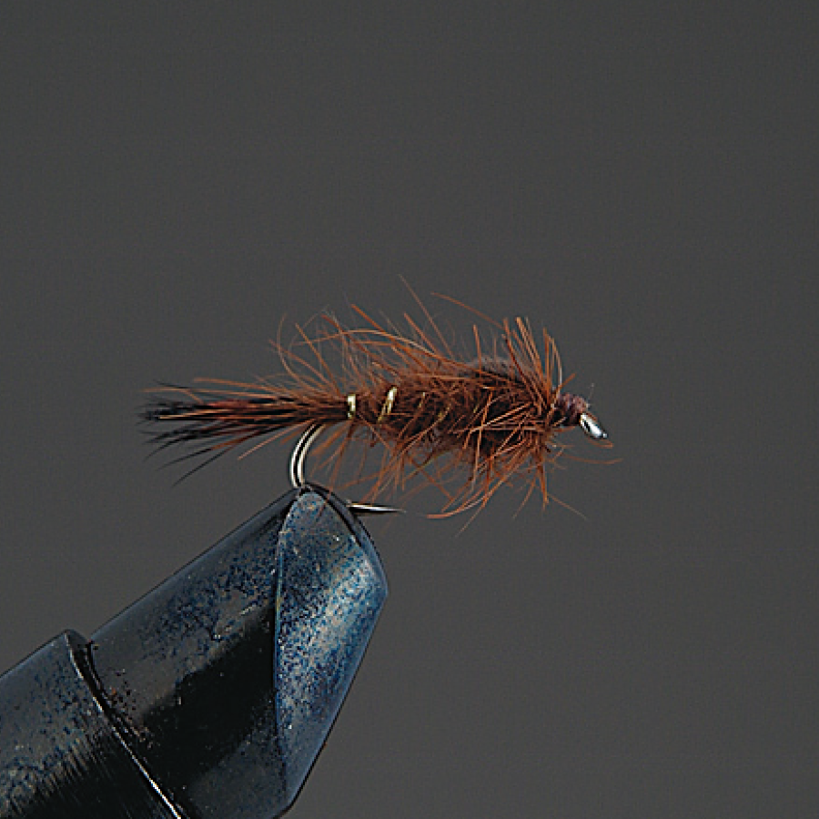 COMPLETE FLY Nymph - Valleyhill