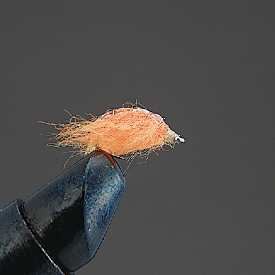 COMPLETE FLY Nymph - Valleyhill