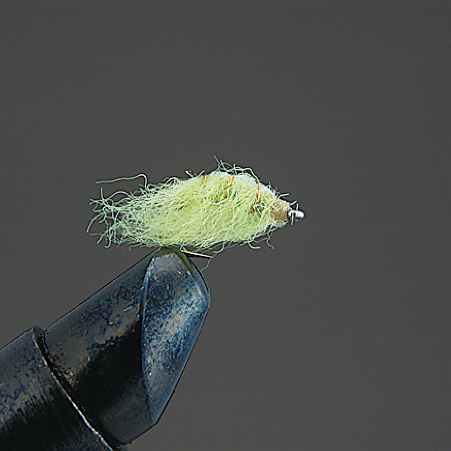 COMPLETE FLY Nymph - Valleyhill