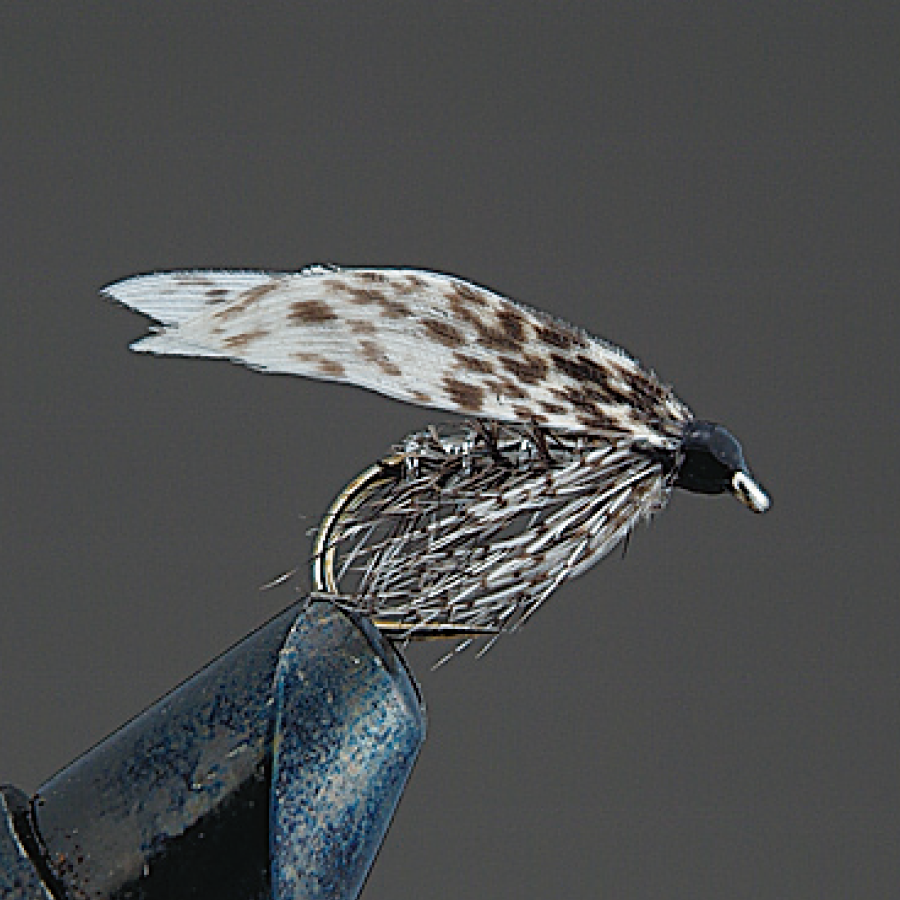COMPLETE FLY Wet Fly - Valleyhill