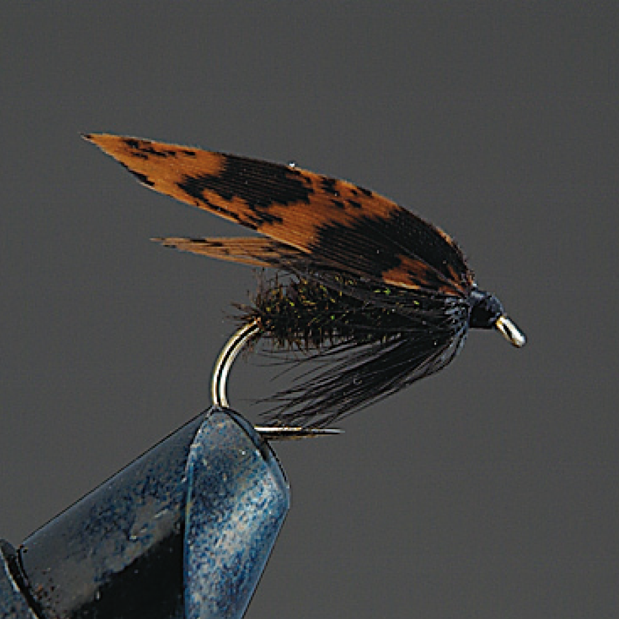 COMPLETE FLY Wet Fly - Valleyhill