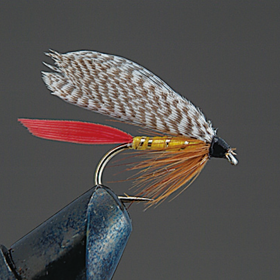 COMPLETE FLY Wet Fly - Valleyhill