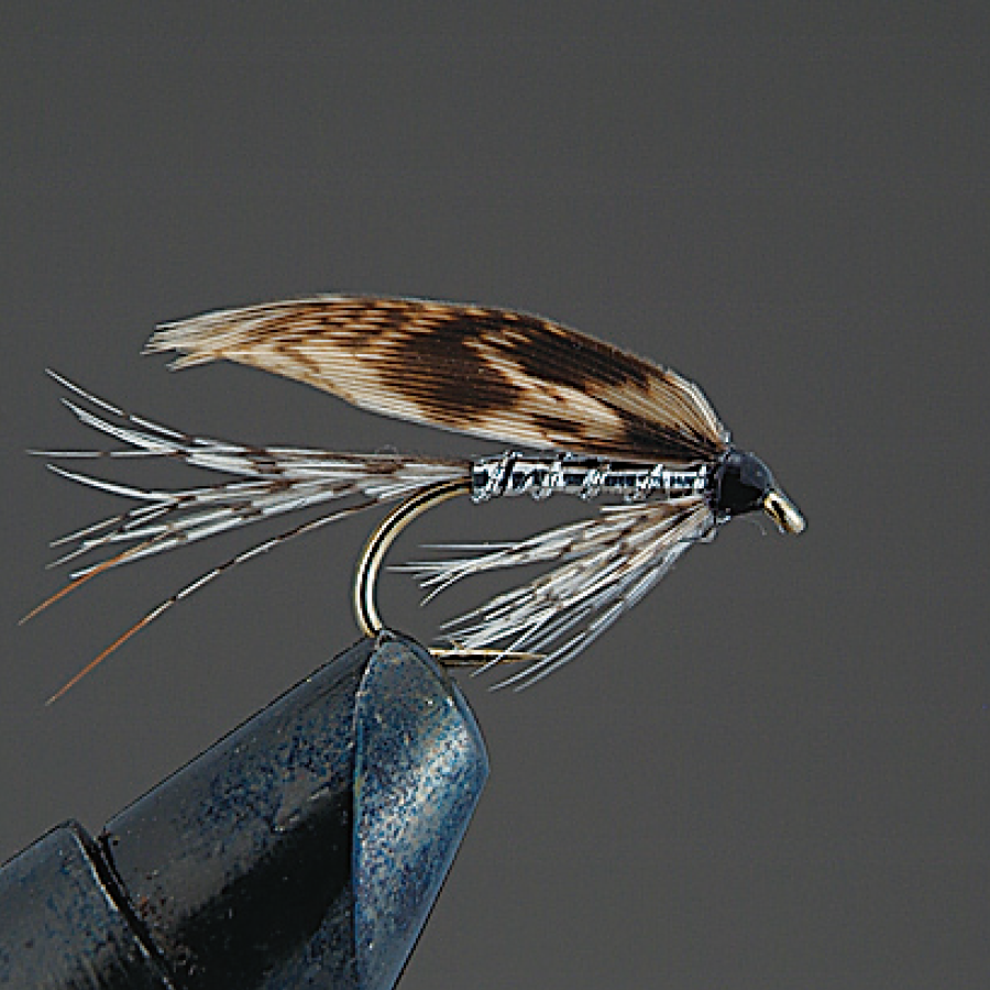 COMPLETE FLY Wet Fly - Valleyhill