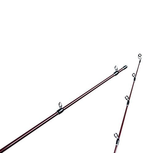 Beams blancsierra 3.9UL LIMITED - Fishman