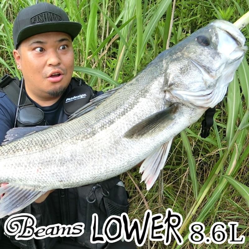 Beams LOWER 8.6L - Fishman