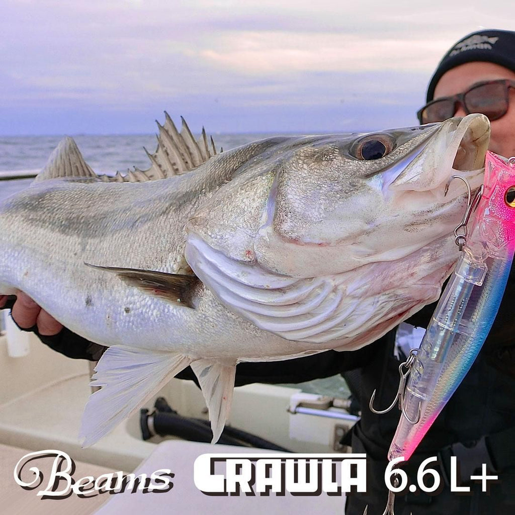 Beams CRAWLA 6.6L+ - Fishman