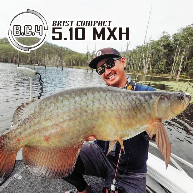 BC4 5.10MXH - Fishman