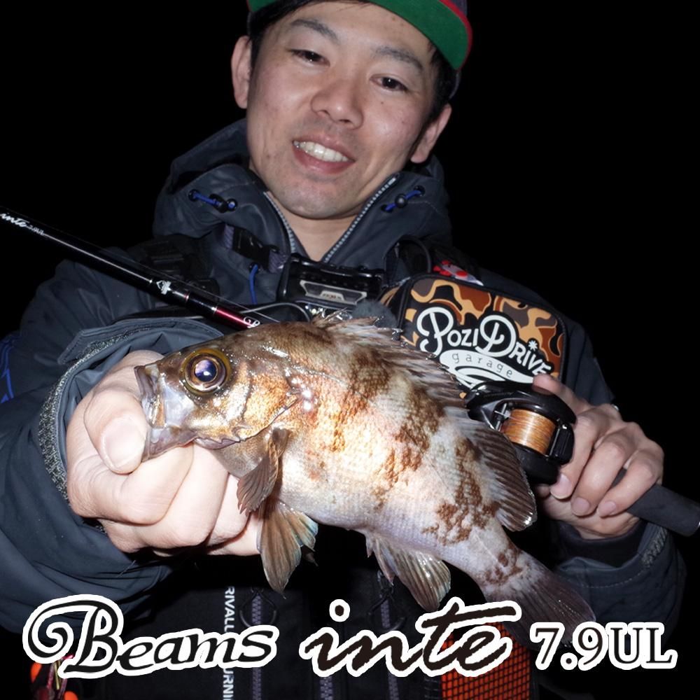 Beams inte 7.9UL - Fishman