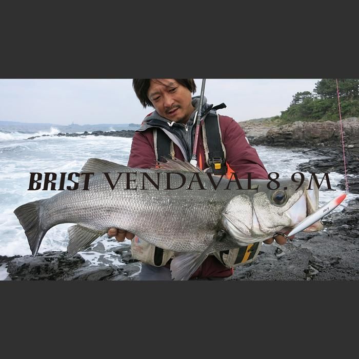 BRIST VENDAVAL 8.9M - Fishman