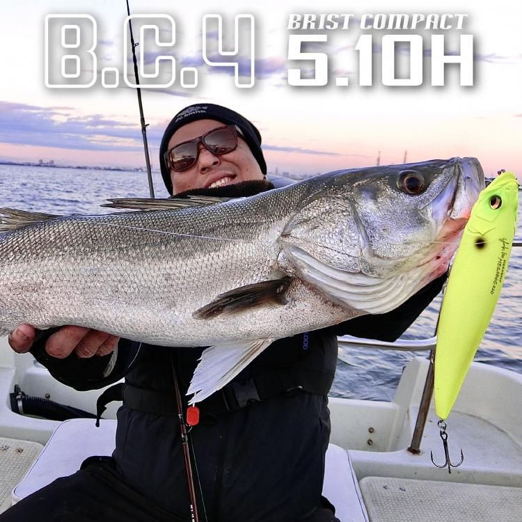 BC4 5.10H - Fishman