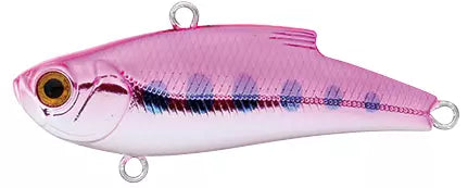 ORC RANGE VIB 55ES - BASSDAY