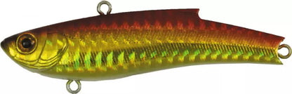 RANGE VIB 70ES - BASSDAY