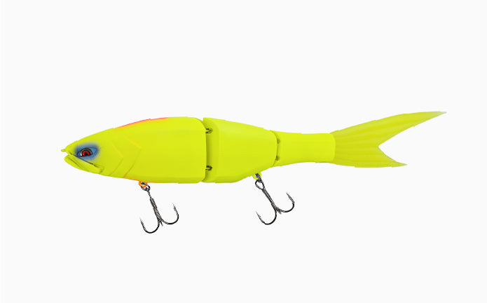 Grace 240F - Galápagos