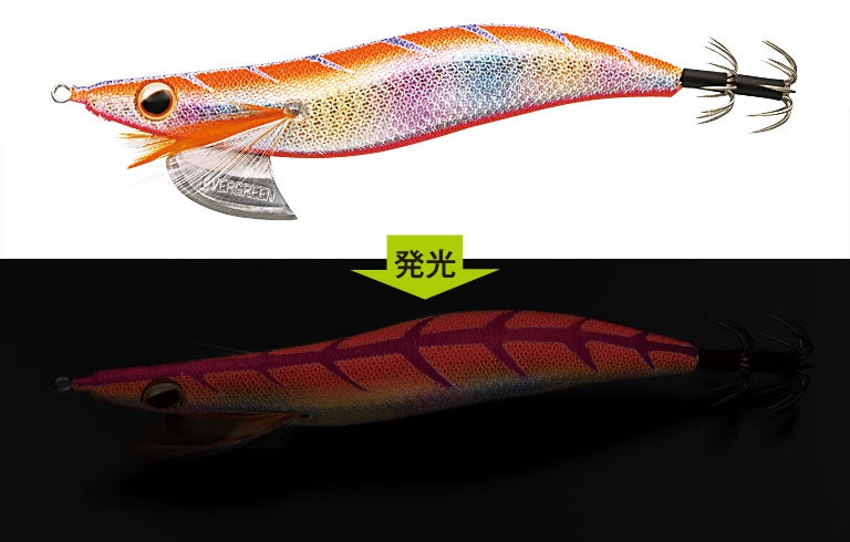 Egi Bancho D - EVERGREEN