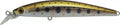 SUGAR MINNOW SG 80F - BASSDAY