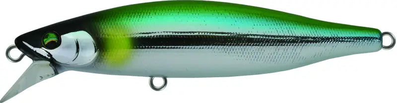 MONONOHU Big Torout D70S - BASSDAY