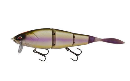 Grace 210L - Galápagos