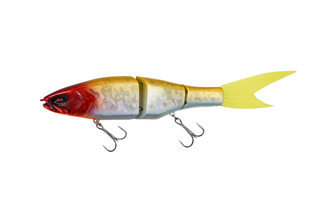 Grace 240F - Galápagos