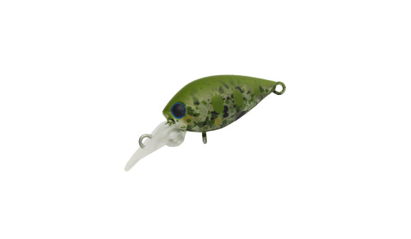 Pico ChatteCra - Daysprout