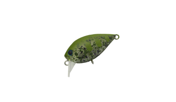 Fat ChatteCra - Daysprout