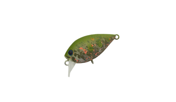 Fat ChatteCra - Daysprout